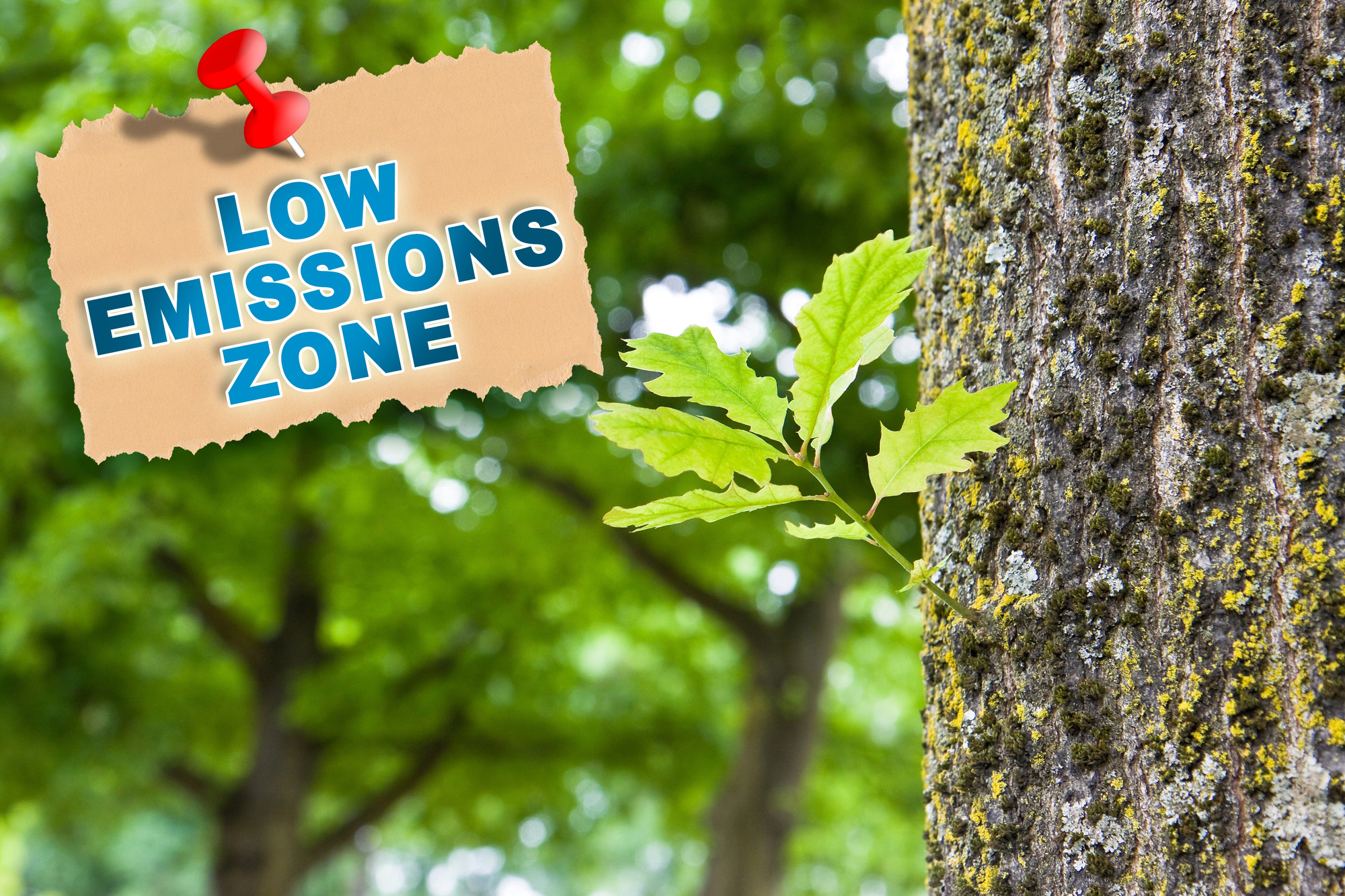 Ecobonus: dal 18 marzo via alle prenotazioni moto e scooter